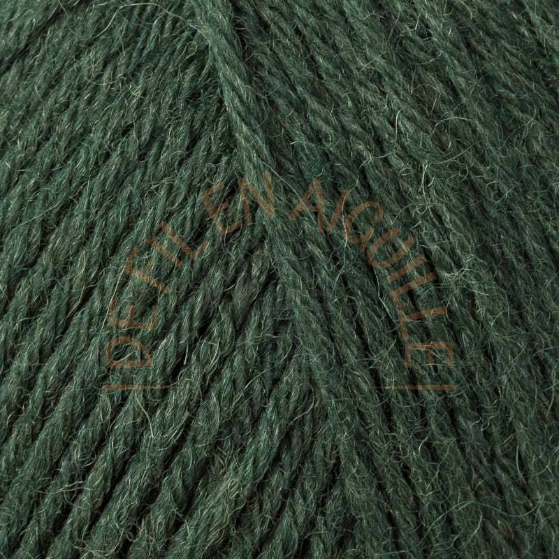 Laine chaussettes 6 fils - 1994 - Vert